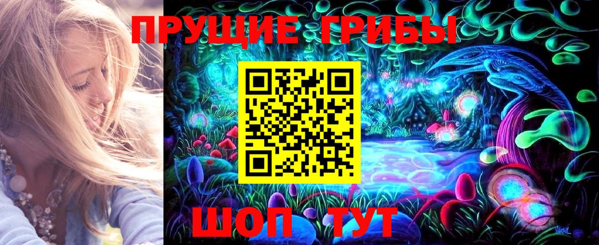 Галлюциногенные грибы Cubensis Заволжье